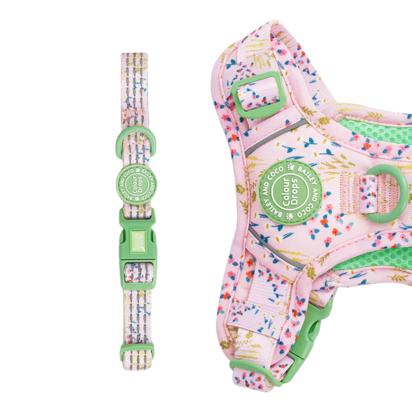 Trail & Glow® Adjustable Collar - COLOUR DROPS® - Pick Me - Bailey and Coco (UK)