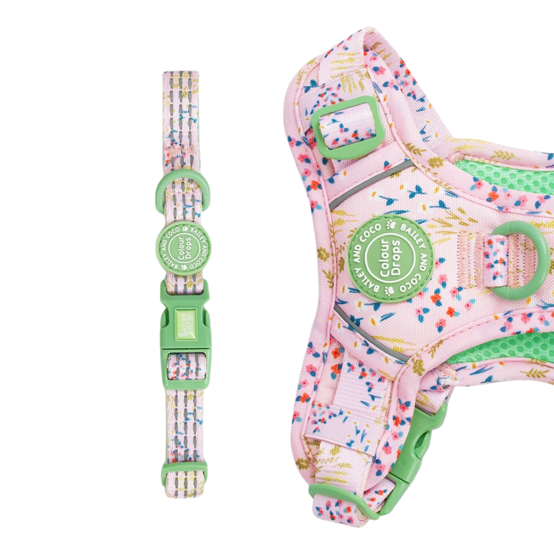Trail & Glow® Adjustable Collar - COLOUR DROPS® - Pick Me - Bailey and Coco (UK)