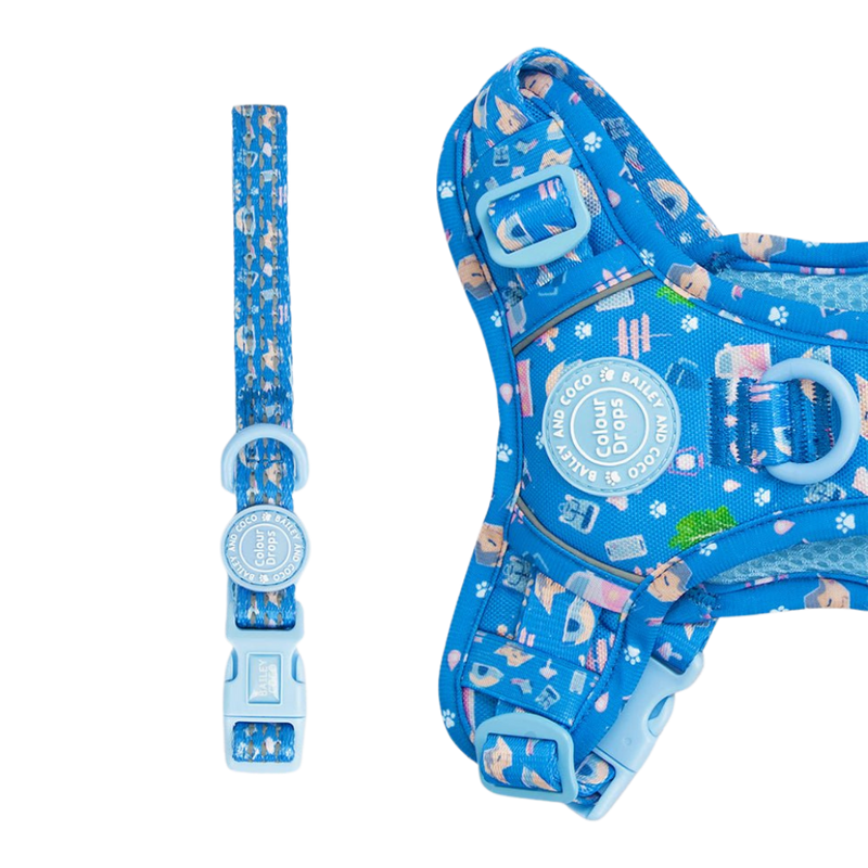 Trail & Glow® Adjustable Collar - COLOUR DROPS® - Pitch, Please - Bailey and Coco (UK)