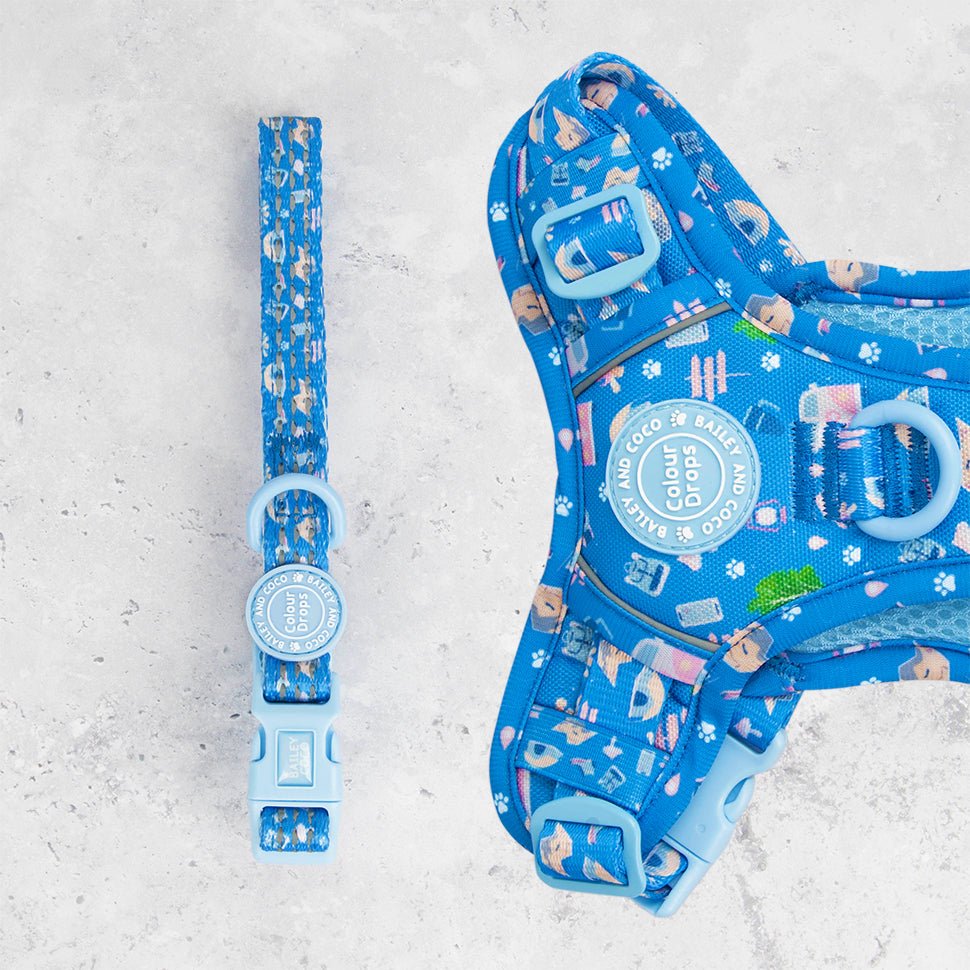 Trail & Glow® Adjustable Collar - COLOUR DROPS® - Pitch, Please - Bailey and Coco (UK)