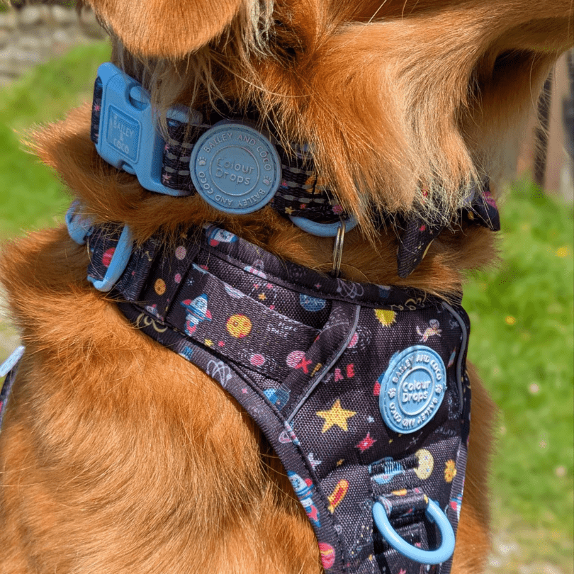 Trail & Glow® Adjustable Collar - COLOUR DROPS® - Space Paws - Bailey and Coco (UK)
