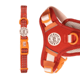 Trail & Glow® Adjustable Collar - COLOUR DROPS® - Spice it up - Bailey and Coco (UK)