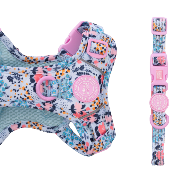 Trail & Glow Adjustable Collar - Colour Drops - Spring Dreams - Bailey and Coco (UK)