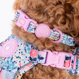 Trail & Glow Adjustable Collar - Colour Drops - Spring Dreams - Bailey and Coco (UK)