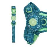 Trail & Glow® Adjustable Collar - COLOUR DROPS® - Touch Grass - Bailey and Coco (UK)