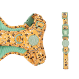 Trail & Glow Adjustable Collar - Colour Drops - Wanna - Bee - Bailey and Coco (UK)