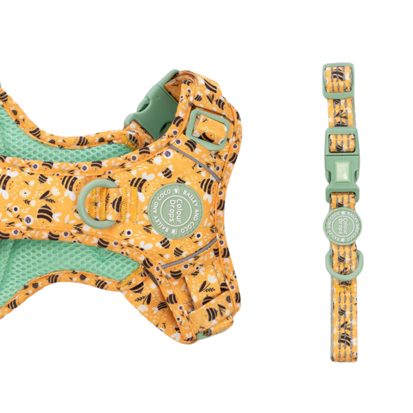 Trail & Glow Adjustable Collar - Colour Drops - Wanna - Bee - Bailey and Coco (UK)