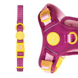 Trail & Glow® Adjustable Collar - COLOUR DROPS® - We're Jammin' - Bailey and Coco (UK)
