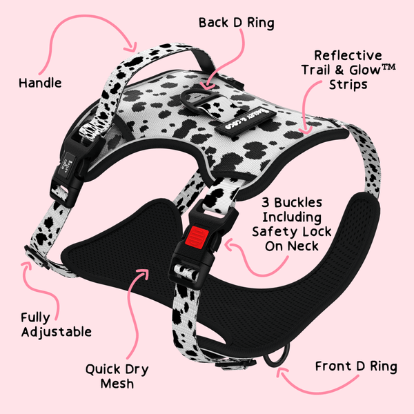 Trail & Glow® Adjustable Dog Harness - On the Dot - alternate view