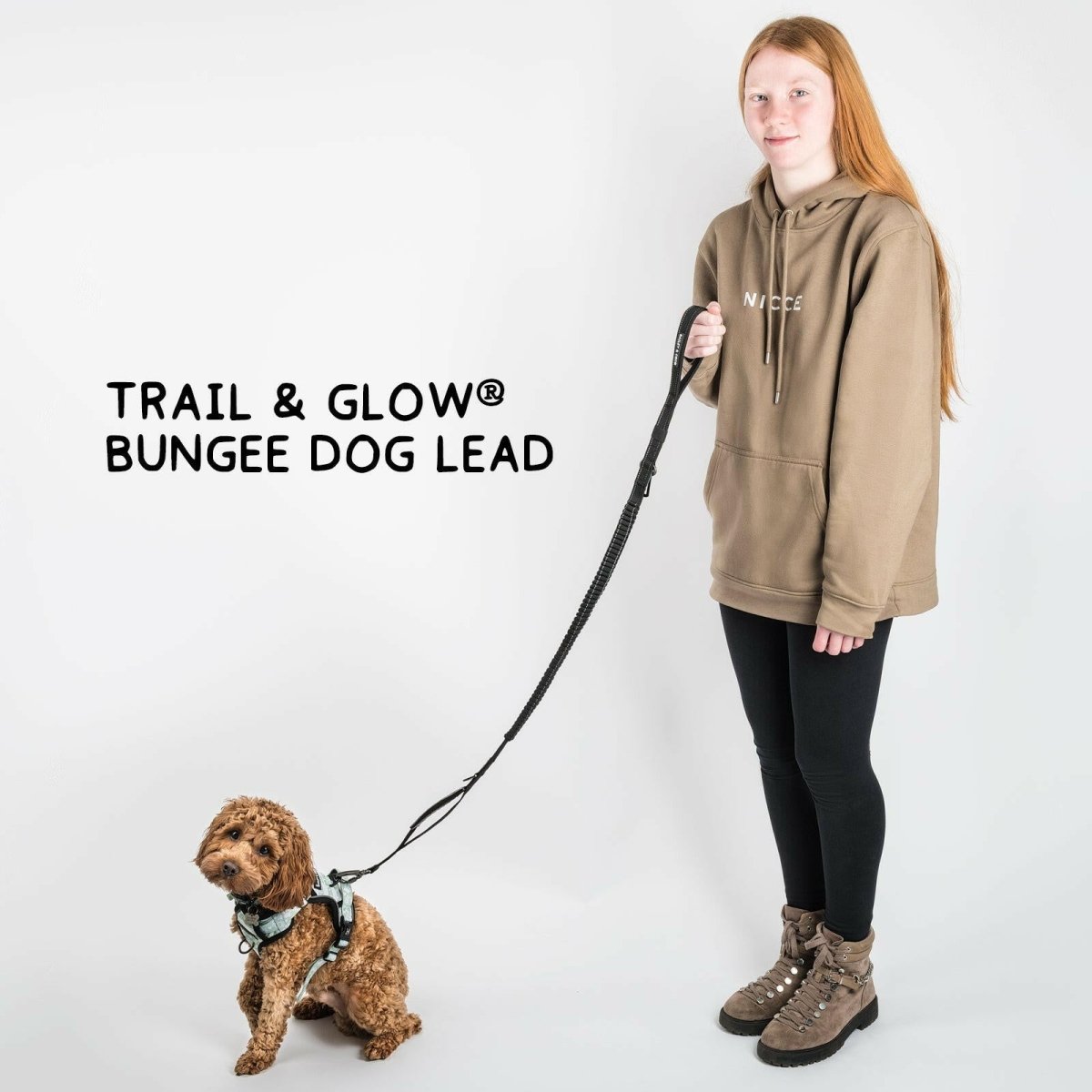 Trail & Glow® Bungee Dog Lead 4ft - 6ft - Bailey and Coco (UK)