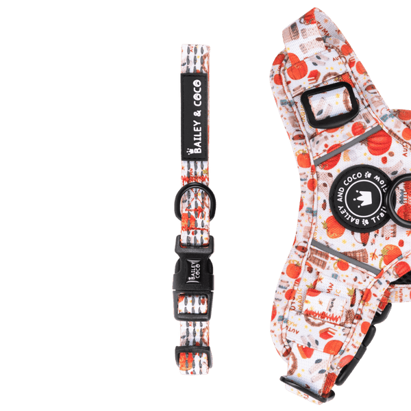 Trail & Glow® Collar - Autumn Magic - Bailey and Coco (UK)