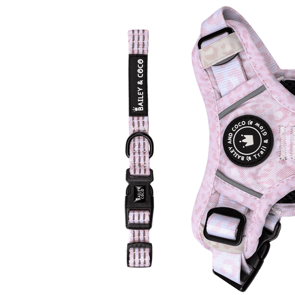 Trail & Glow® Collar - Blush Leopard - Bailey and Coco (UK)