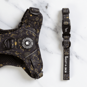 Trail & Glow® Collar - Celestial - Bailey and Coco (UK)
