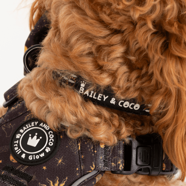 Trail & Glow® Collar - Celestial - alternate view