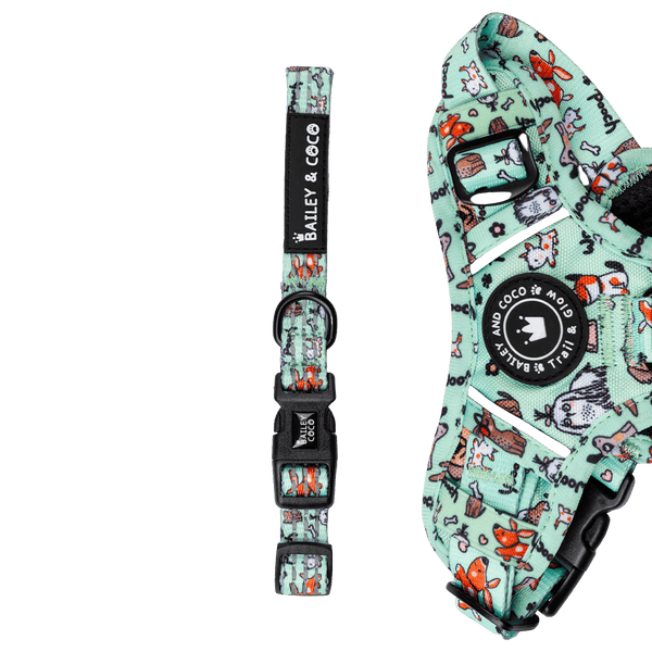 Trail & Glow® Collar - Dog Party - Bailey and Coco (UK)