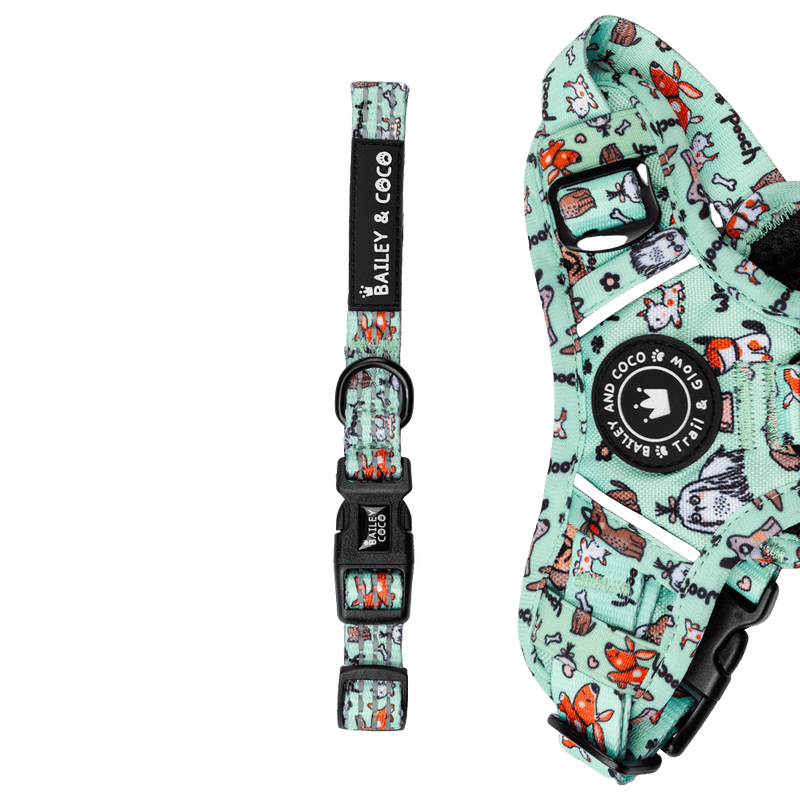 Trail & Glow® Collar - Dog Party - Bailey and Coco (UK)