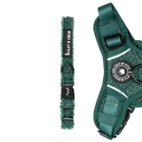 Trail & Glow® Collar - Emerald Teddy - Bailey and Coco (UK)