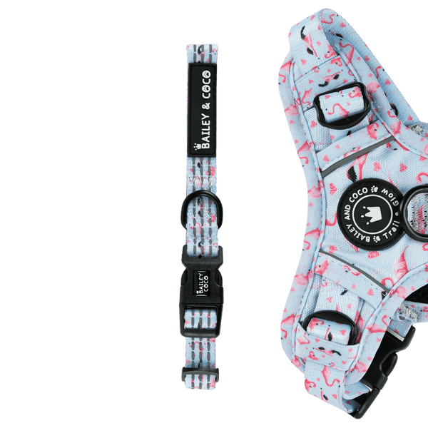 Trail & Glow® Collar - Flamingo Fling - Bailey and Coco (UK)