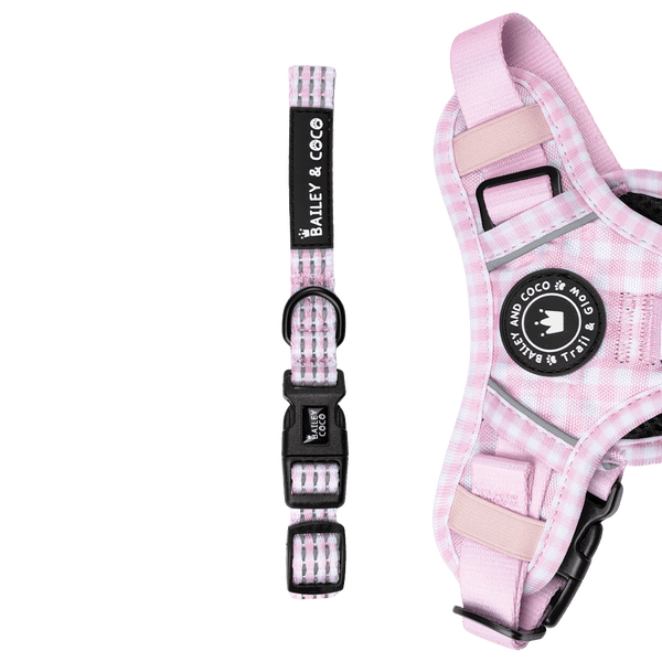 Trail & Glow® Collar - Gingham Dreams - Bailey and Coco (UK)