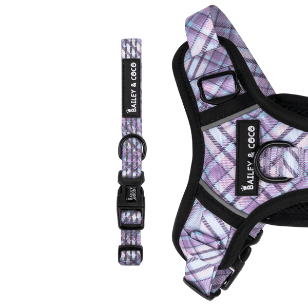 Trail & Glow® Collar - Lilac Haze - Bailey and Coco (UK)