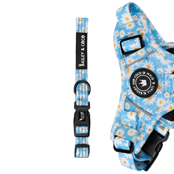 Trail & Glow® Collar - Loves me more - Bailey and Coco (UK)