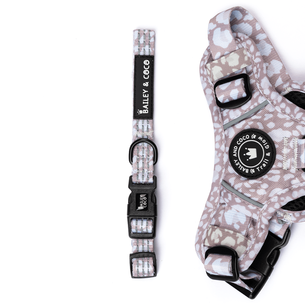 Trail & Glow® Collar - Mocha Leopard - Bailey and Coco (UK)