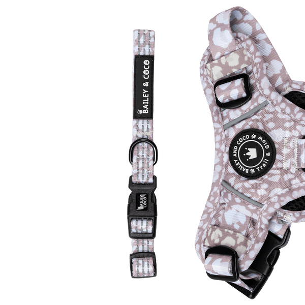 Trail & Glow® Collar - Mocha Leopard - Bailey and Coco (UK)