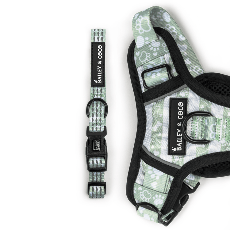 Trail & Glow® Collar - Peppermint Paws - Bailey and Coco (UK)