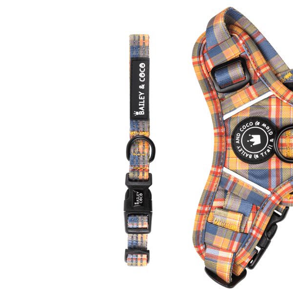 Trail & Glow® Collar - Rustic Tartan - Bailey and Coco (UK)