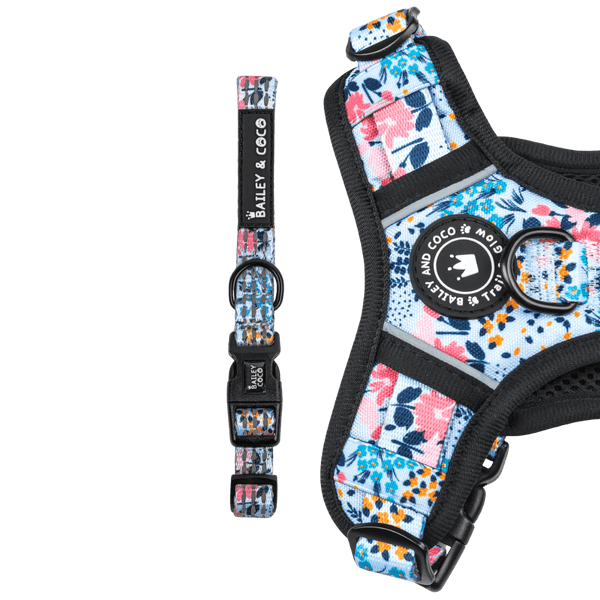 Trail & Glow® Collar - Spring Dreams - Bailey and Coco (UK)