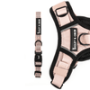 Trail & Glow® Collar - The Champagne One - Bailey and Coco (UK)