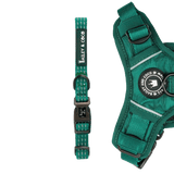 Trail & Glow® Collar - The Emerald Green One - Bailey and Coco (UK)