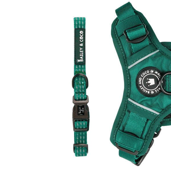 Trail & Glow® Collar - The Emerald Green One - Bailey and Coco (UK)