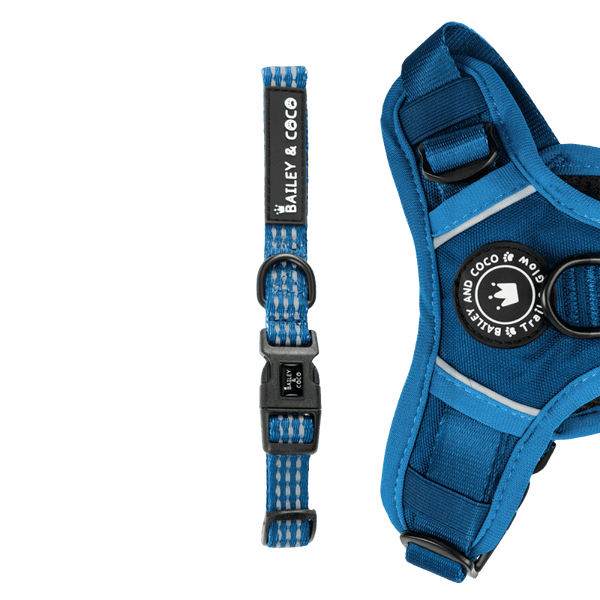 Trail & Glow® Collar - The Ink Blue One - Bailey and Coco (UK)