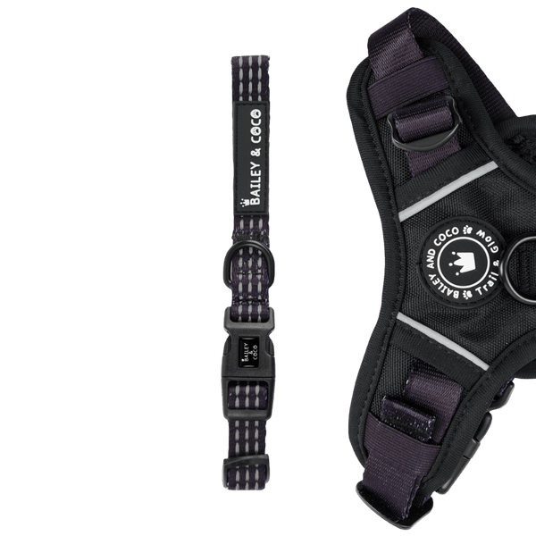 Trail & Glow® Collar - The Jet Black One - Bailey and Coco (UK)