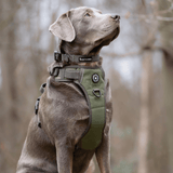 Trail & Glow® Collar - The Khaki One - Bailey and Coco (UK)