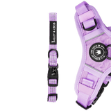 Trail & Glow® Collar - The Lilac One - Bailey and Coco (UK)