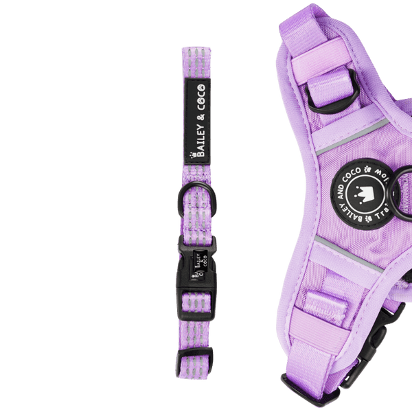 Trail & Glow® Collar - The Lilac One - Bailey and Coco (UK)