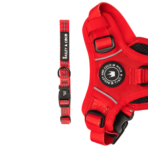 Trail & Glow® Collar - The Red One - Bailey and Coco (UK)