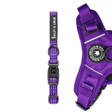 Trail & Glow® Collar - The Royal Purple One - Bailey and Coco (UK)