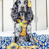 Trail & Glow® Collar - Wanna - Bee - Bailey and Coco (UK)