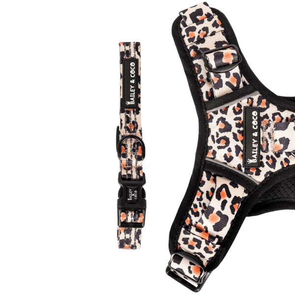 Trail & Glow® Collar - Wild One - Bailey and Coco (UK)