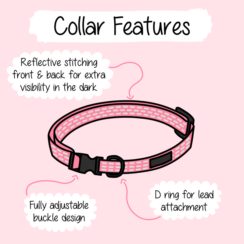 Trail & Glow® Dino Party Collar - Bailey and Coco (UK)