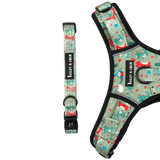 Trail & Glow® Dino Party Collar - Bailey and Coco (UK)