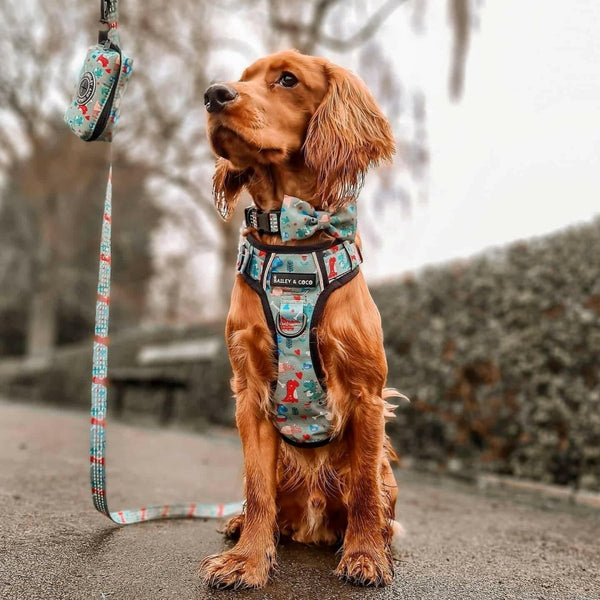 Trail & Glow® Dinosaur Dog Harness – Dino Party  - Original Design - alternate view