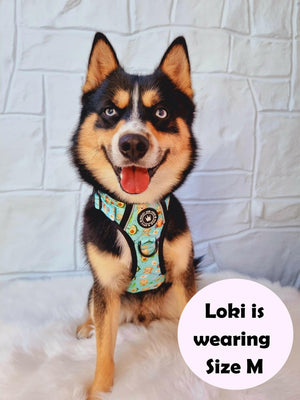 Trail & Glow® Dog Harness - All I Avo Wanted - Bailey and Coco (UK)
