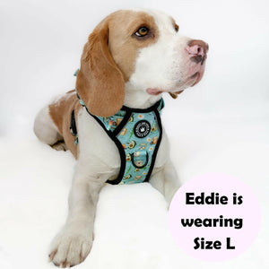 Trail & Glow® Dog Harness - All I Avo Wanted - Bailey and Coco (UK)
