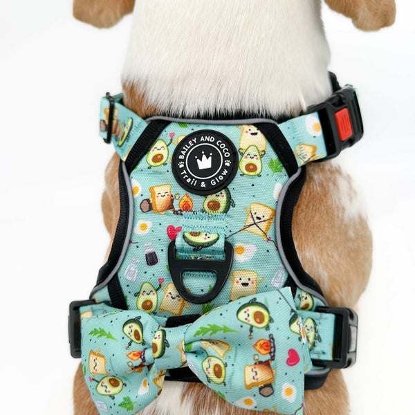 Trail & Glow® Dog Harness - All I Avo Wanted - alternate view
