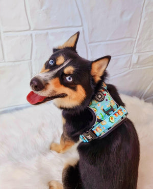 Trail & Glow® Dog Harness - All I Avo Wanted - Bailey and Coco (UK)