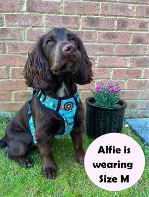 Trail & Glow® Dog Harness - All I Avo Wanted - Bailey and Coco (UK)